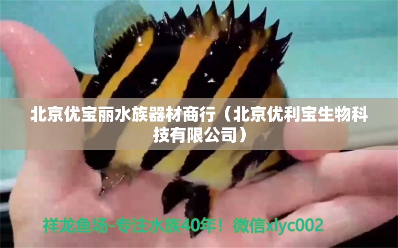 北京優(yōu)寶麗水族器材商行（北京優(yōu)利寶生物科技有限公司）