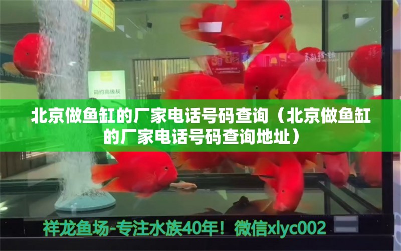 北京做魚缸的廠家電話號碼查詢（北京做魚缸的廠家電話號碼查詢地址） 祥龍水族醫(yī)院