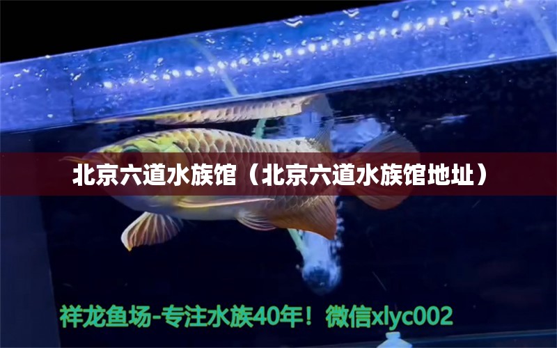 北京六道水族館（北京六道水族館地址） 全國水族館企業(yè)名錄