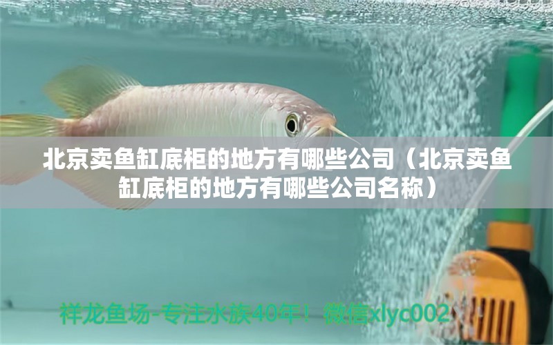 北京賣魚缸底柜的地方有哪些公司（北京賣魚缸底柜的地方有哪些公司名稱）