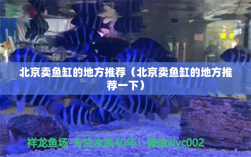 北京賣魚缸的地方推薦（北京賣魚缸的地方推薦一下）