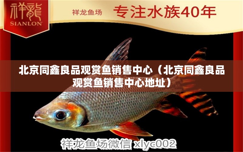 北京同鑫良品觀賞魚(yú)銷售中心（北京同鑫良品觀賞魚(yú)銷售中心地址） 全國(guó)水族館企業(yè)名錄