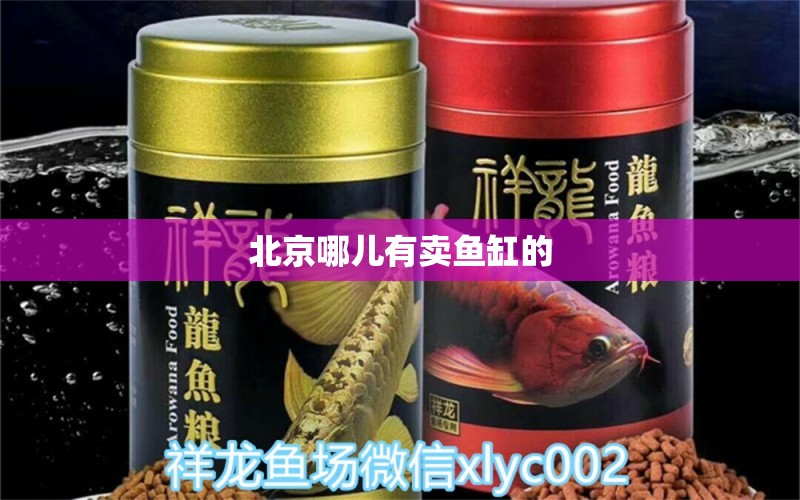 北京哪兒有賣魚(yú)缸的