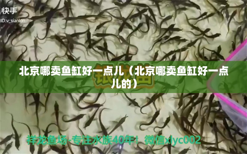 北京哪賣(mài)魚(yú)缸好一點(diǎn)兒（北京哪賣(mài)魚(yú)缸好一點(diǎn)兒的）