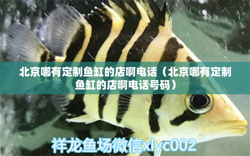 北京哪有定制魚缸的店啊電話（北京哪有定制魚缸的店啊電話號碼） 祥龍水族醫(yī)院