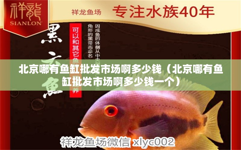 北京哪有魚缸批發(fā)市場啊多少錢（北京哪有魚缸批發(fā)市場啊多少錢一個） 祥龍魚場