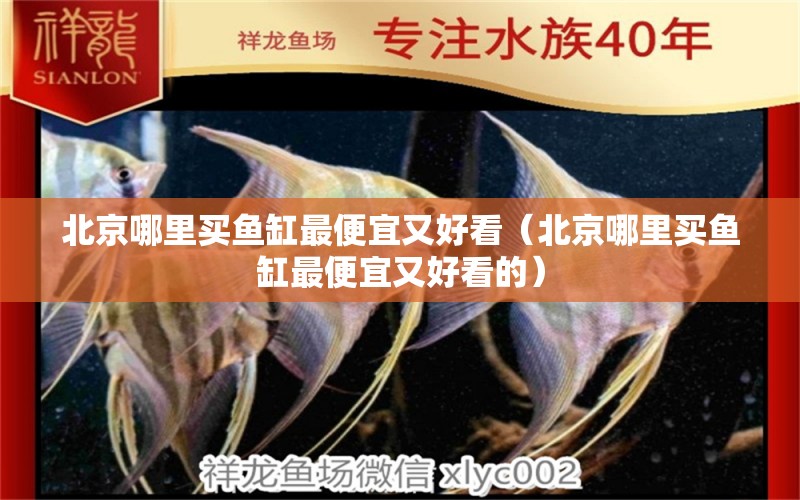 北京哪里買魚缸最便宜又好看（北京哪里買魚缸最便宜又好看的） 祥龍水族醫(yī)院