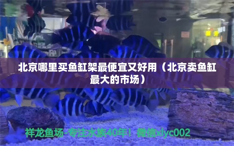 北京哪里買魚缸架最便宜又好用（北京賣魚缸最大的市場）