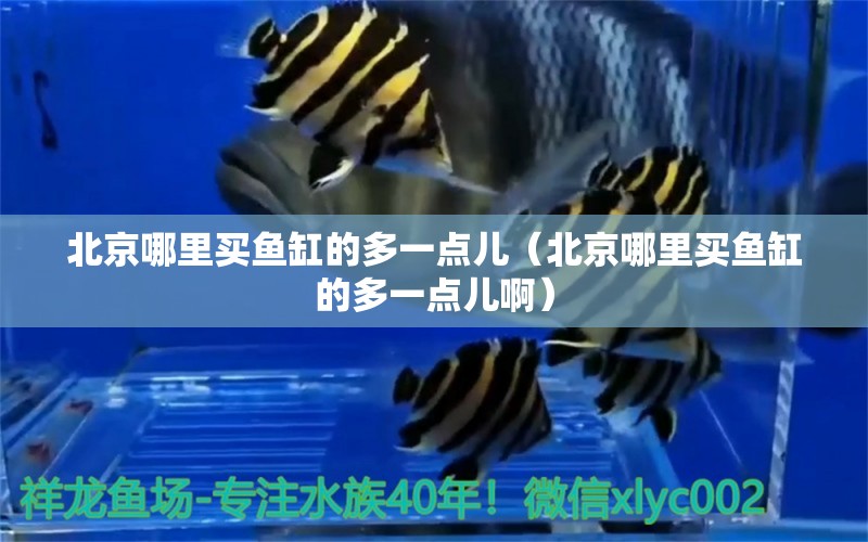 北京哪里買魚缸的多一點兒（北京哪里買魚缸的多一點兒?。? title=