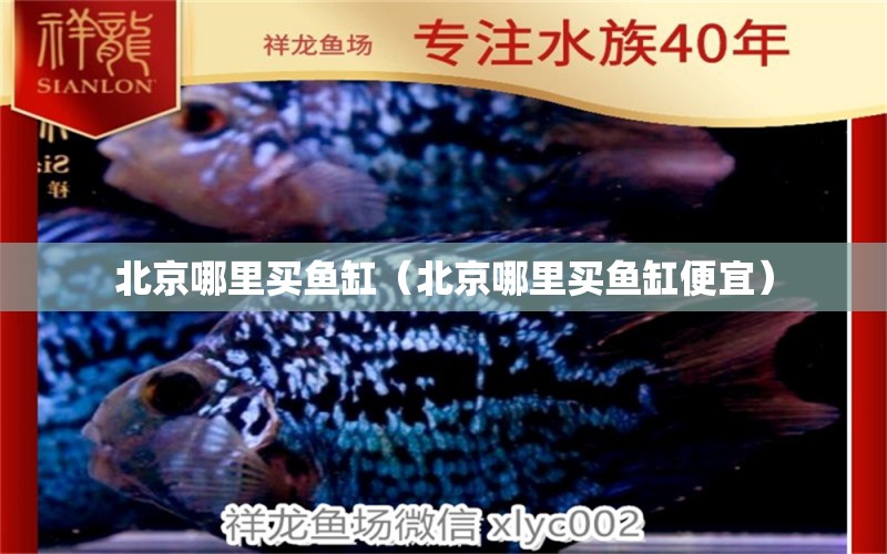 北京哪里買魚缸（北京哪里買魚缸便宜）