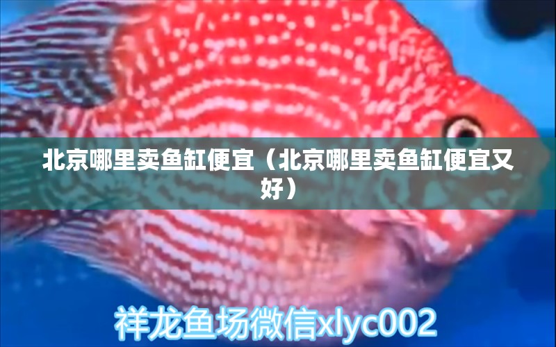 北京哪里賣(mài)魚(yú)缸便宜（北京哪里賣(mài)魚(yú)缸便宜又好） 其他品牌魚(yú)缸