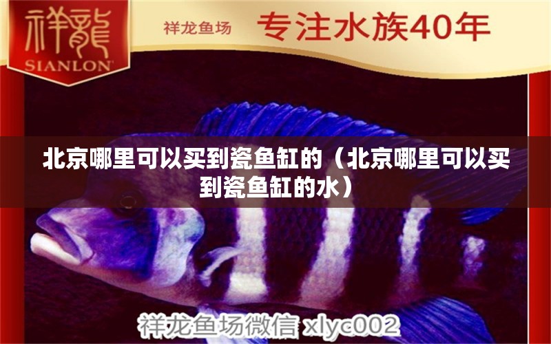 北京哪里可以買到瓷魚缸的（北京哪里可以買到瓷魚缸的水） 廣州觀賞魚批發(fā)市場(chǎng)