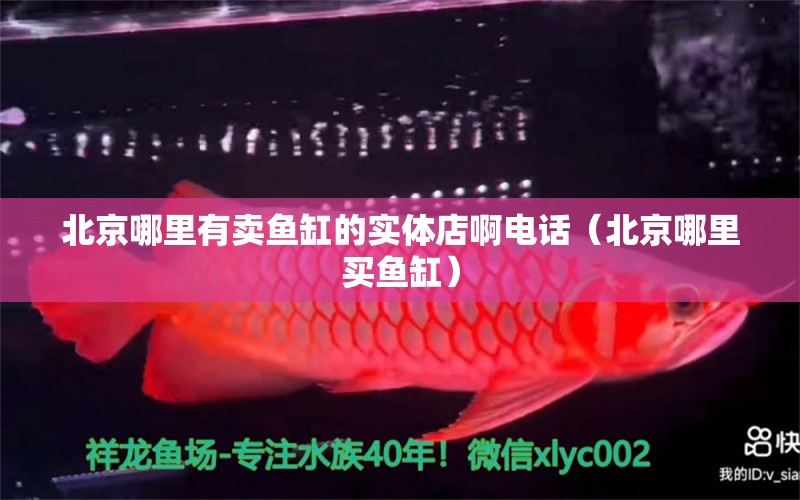 北京哪里有賣魚缸的實體店啊電話（北京哪里買魚缸） 埃及神仙魚 第2張