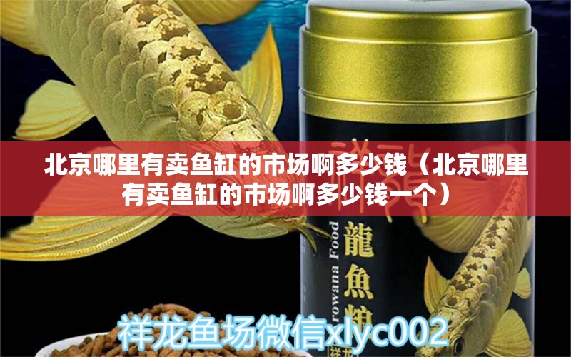 北京哪里有賣魚缸的市場啊多少錢（北京哪里有賣魚缸的市場啊多少錢一個(gè)） 粗線銀版魚