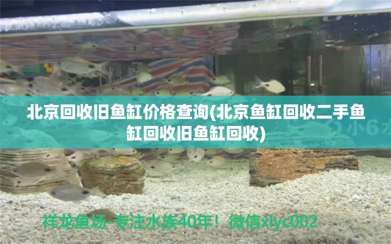 北京回收舊魚(yú)缸價(jià)格查詢(北京魚(yú)缸回收二手魚(yú)缸回收舊魚(yú)缸回收) 廣州水族器材濾材批發(fā)市場(chǎng)