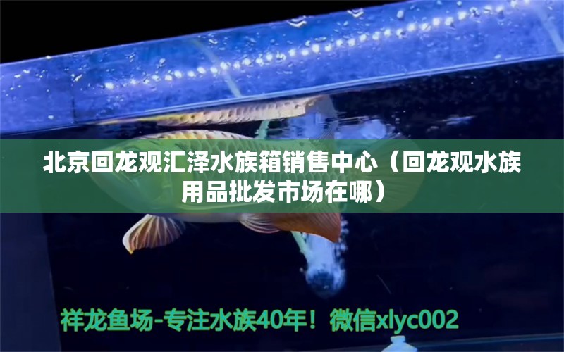 北京回龍觀匯澤水族箱銷售中心（回龍觀水族用品批發(fā)市場在哪） 水族用品