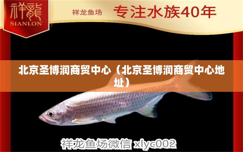 北京圣博潤商貿(mào)中心（北京圣博潤商貿(mào)中心地址） 全國水族館企業(yè)名錄