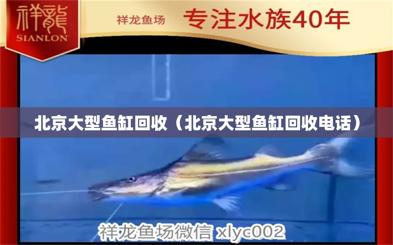 北京大型魚缸回收（北京大型魚缸回收電話）