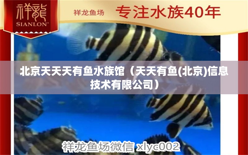 北京天天天有魚水族館（天天有魚(北京)信息技術(shù)有限公司）