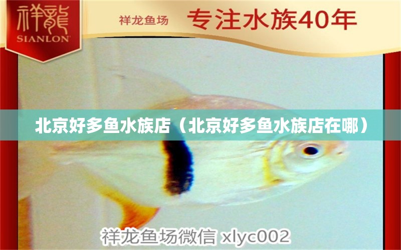 北京好多魚水族店（北京好多魚水族店在哪）