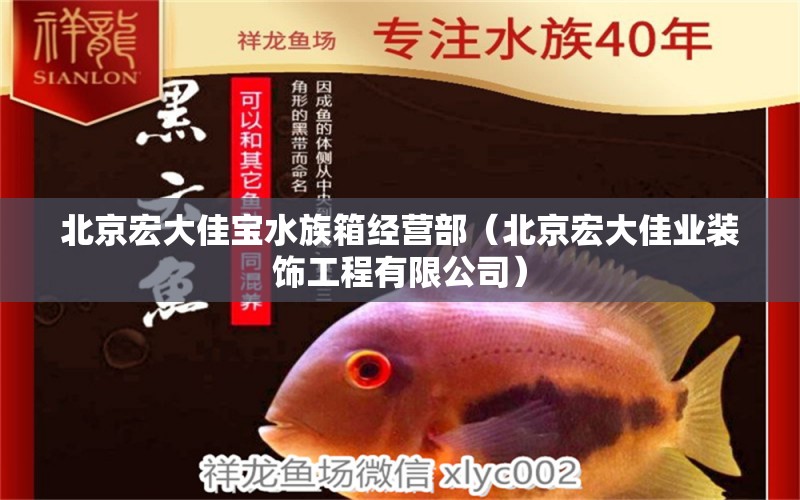 北京宏大佳寶水族箱經(jīng)營部（北京宏大佳業(yè)裝飾工程有限公司）