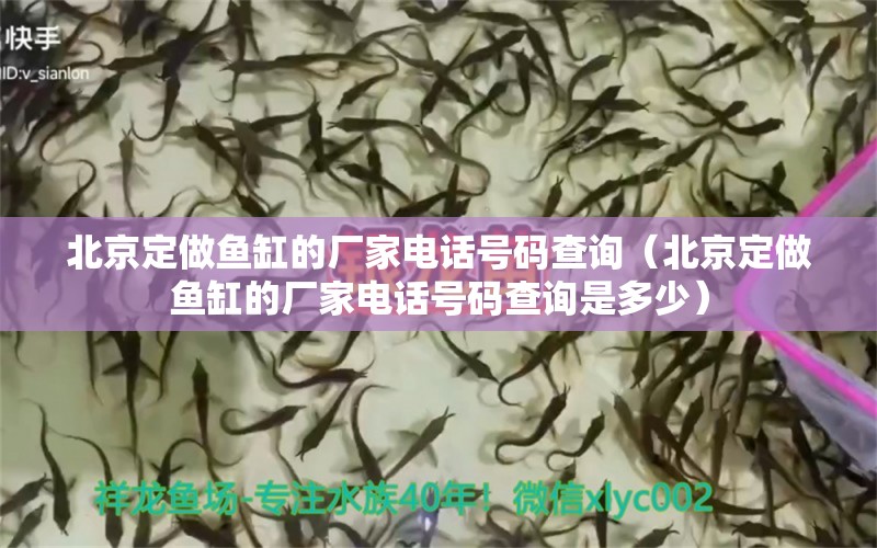 北京定做魚缸的廠家電話號碼查詢（北京定做魚缸的廠家電話號碼查詢是多少）