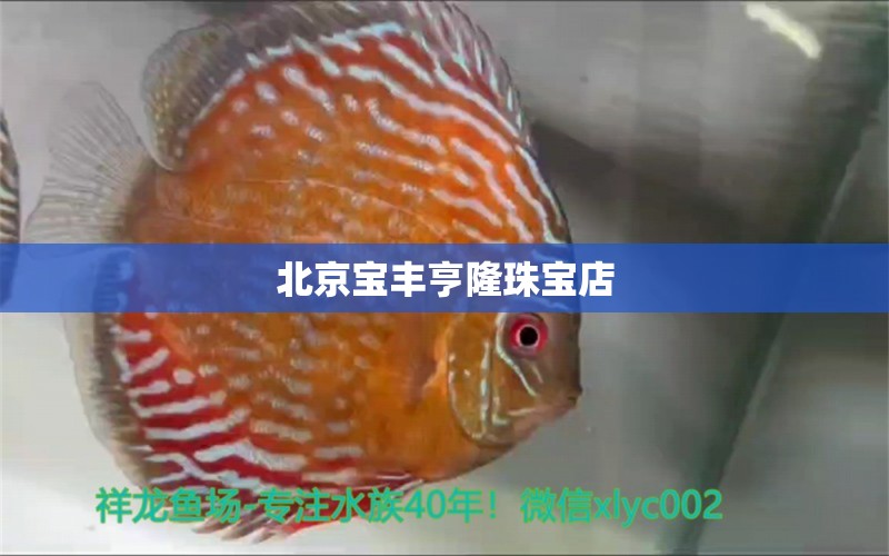 北京寶豐亨隆珠寶店 全國水族館企業(yè)名錄