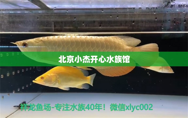 北京小杰開心水族館