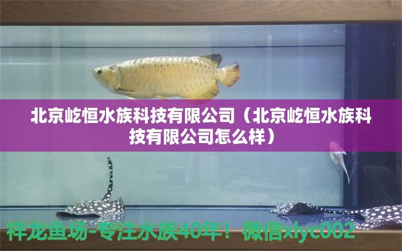 北京屹恒水族科技有限公司（北京屹恒水族科技有限公司怎么樣）