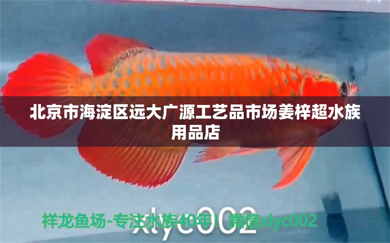 北京市海淀區(qū)遠大廣源工藝品市場姜梓超水族用品店