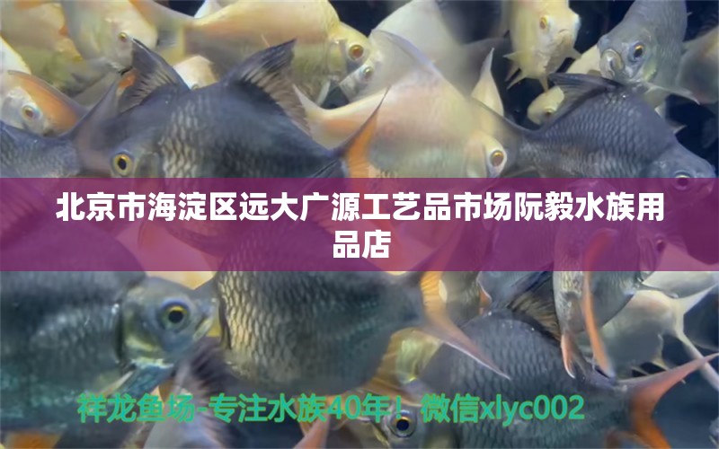 北京市海淀區(qū)遠(yuǎn)大廣源工藝品市場阮毅水族用品店 水族用品