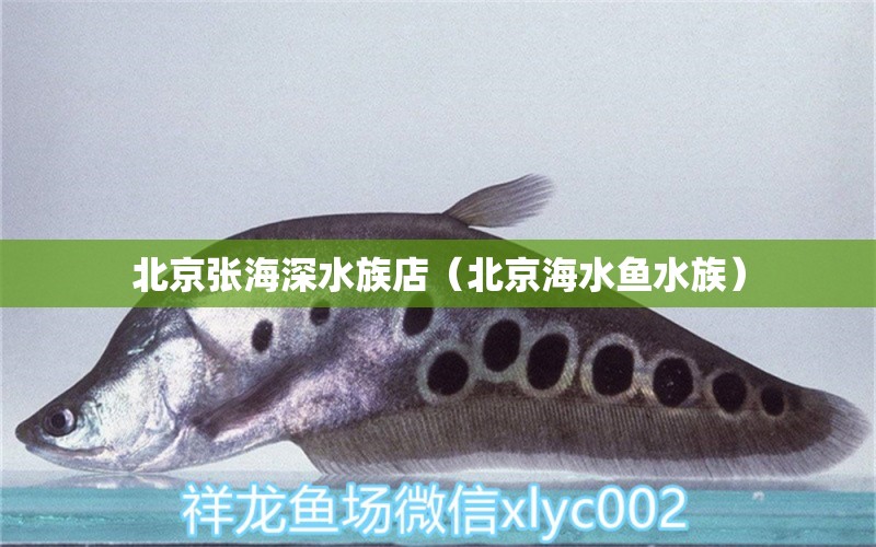 北京張海深水族店（北京海水魚水族）