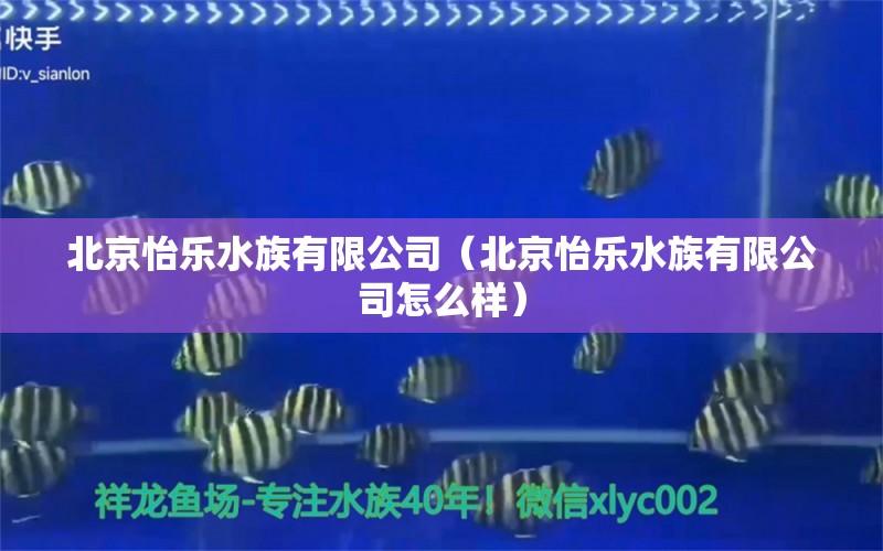 北京怡樂水族有限公司（北京怡樂水族有限公司怎么樣） 全國水族館企業(yè)名錄