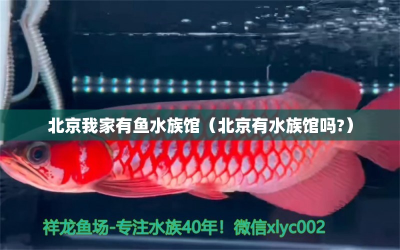 北京我家有魚水族館（北京有水族館嗎?）