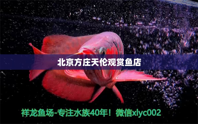 北京方莊天倫觀賞魚(yú)店 全國(guó)水族館企業(yè)名錄