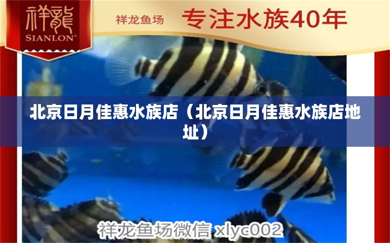 北京日月佳惠水族店（北京日月佳惠水族店地址）