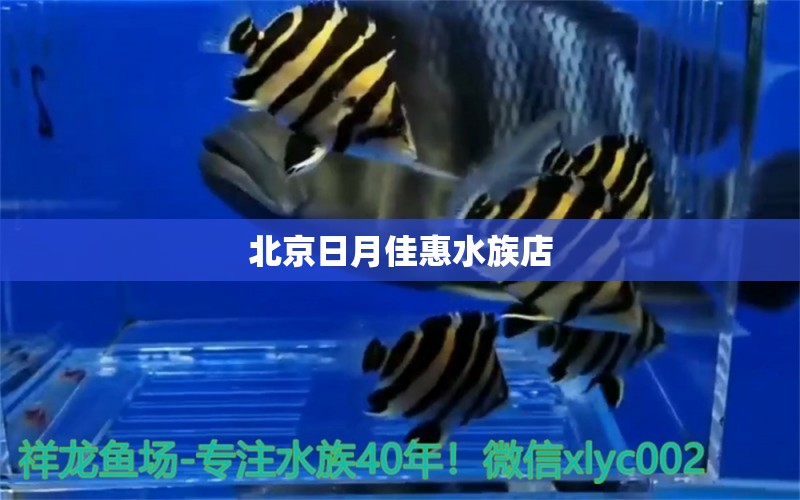 北京日月佳惠水族店 全國水族館企業(yè)名錄