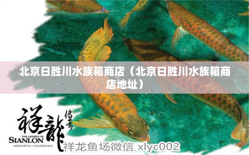 北京日勝川水族箱商店（北京日勝川水族箱商店地址） 魚(yú)缸/水族箱