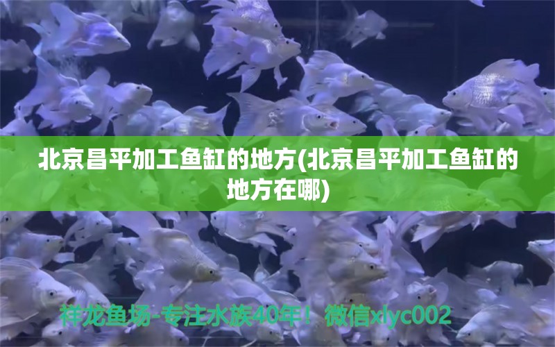 北京昌平加工魚缸的地方(北京昌平加工魚缸的地方在哪) 龍魚芯片掃碼器