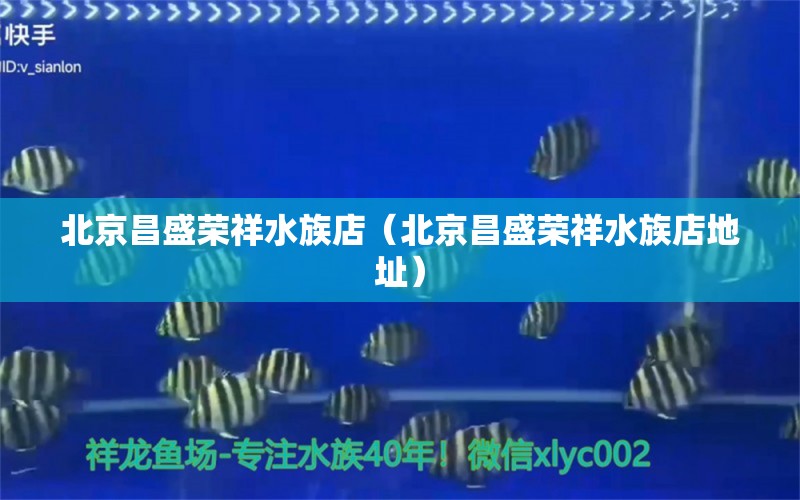 北京昌盛榮祥水族店（北京昌盛榮祥水族店地址） 全國水族館企業(yè)名錄