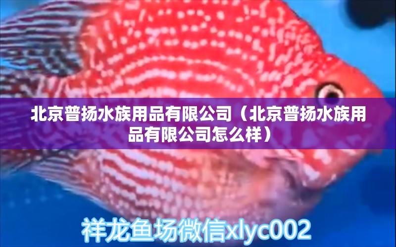 北京普揚(yáng)水族用品有限公司（北京普揚(yáng)水族用品有限公司怎么樣） 水族用品