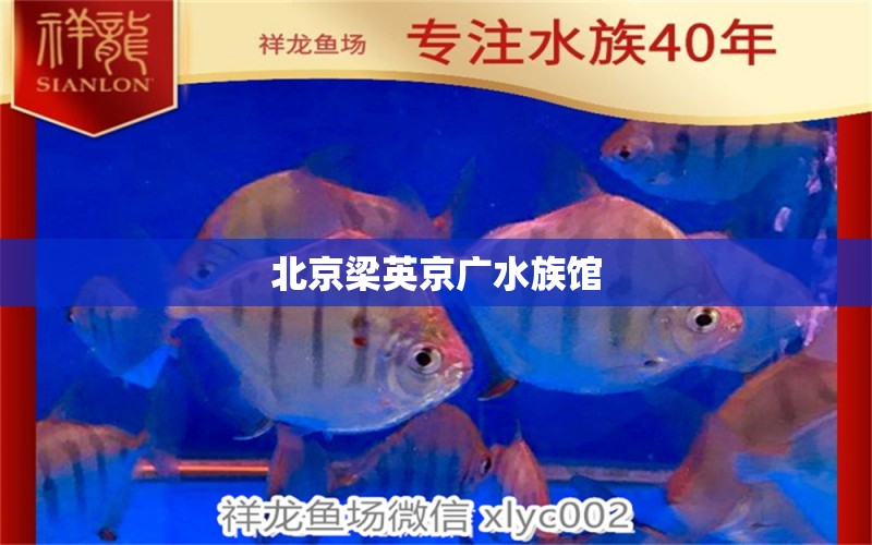 北京梁英京廣水族館