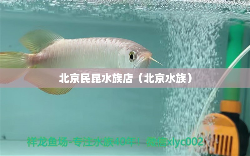 北京民昆水族店（北京水族） 全國水族館企業(yè)名錄