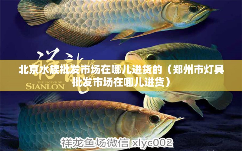 北京水族批發(fā)市場(chǎng)在哪兒進(jìn)貨的（鄭州市燈具批發(fā)市場(chǎng)在哪兒進(jìn)貨） 觀賞魚水族批發(fā)市場(chǎng)