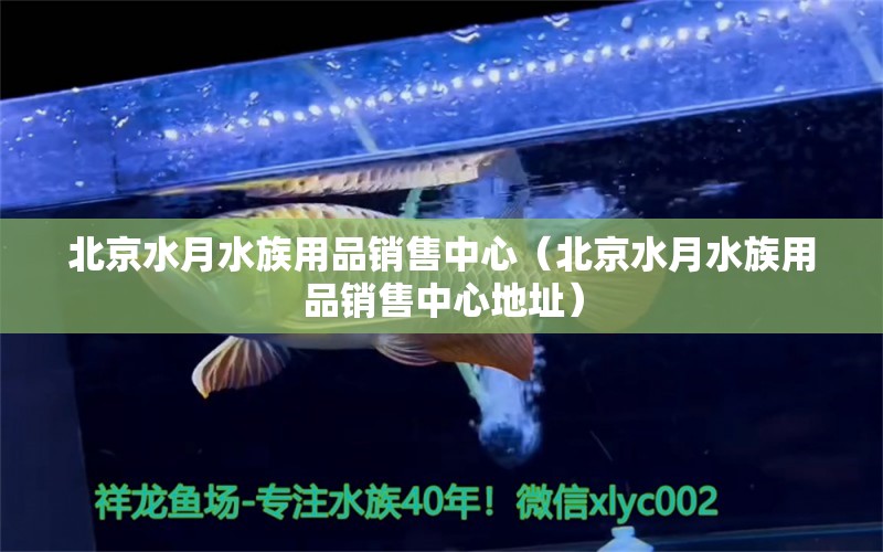 北京水月水族用品銷售中心（北京水月水族用品銷售中心地址）