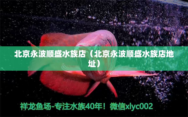 北京永波順盛水族店（北京永波順盛水族店地址） 全國水族館企業(yè)名錄