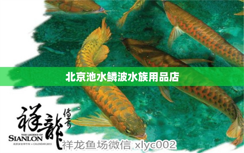 北京池水鱗波水族用品店