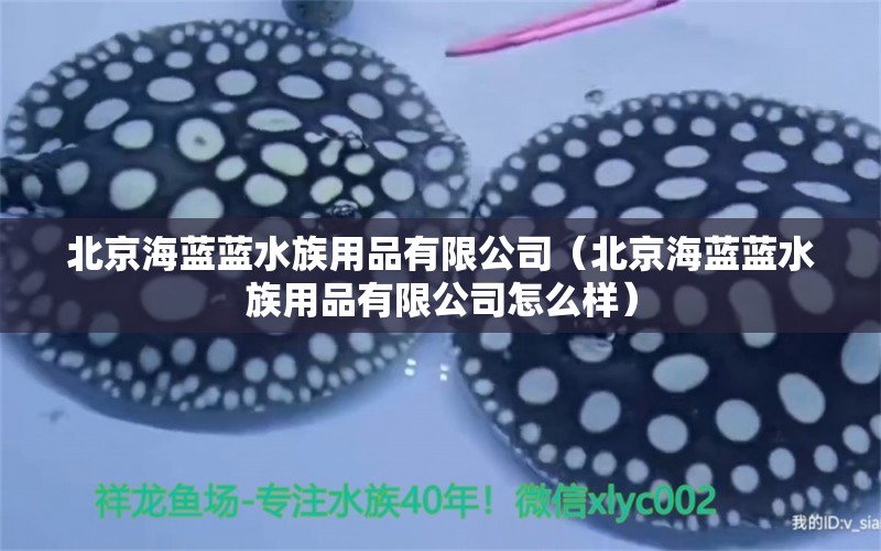 北京海藍(lán)藍(lán)水族用品有限公司（北京海藍(lán)藍(lán)水族用品有限公司怎么樣）