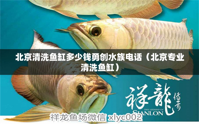 北京清洗魚缸多少錢勇創(chuàng)水族電話（北京專業(yè)清洗魚缸）