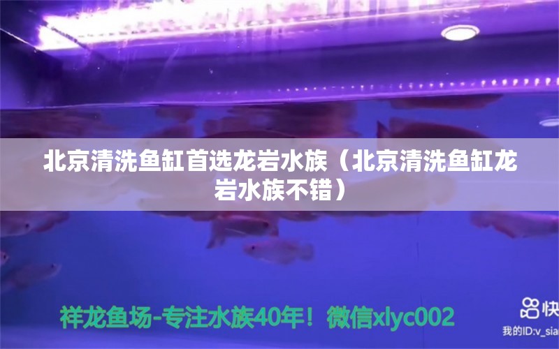 北京清洗魚缸首選龍巖水族（北京清洗魚缸龍巖水族不錯(cuò)）